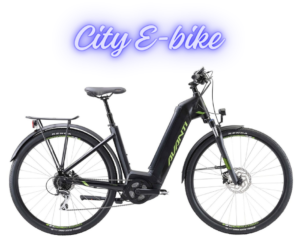 e bike